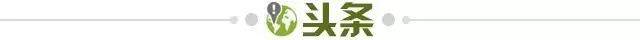 Yabo-【早报】火越救越大！热刺炒掉图多尔！